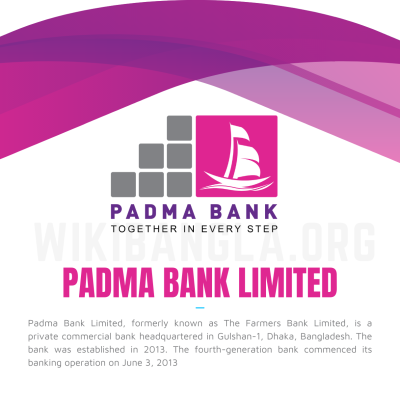 Padma Bank PLC: Navigating the Financial Landscape